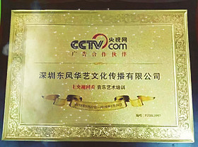 央视网CCTV广告合作伙伴